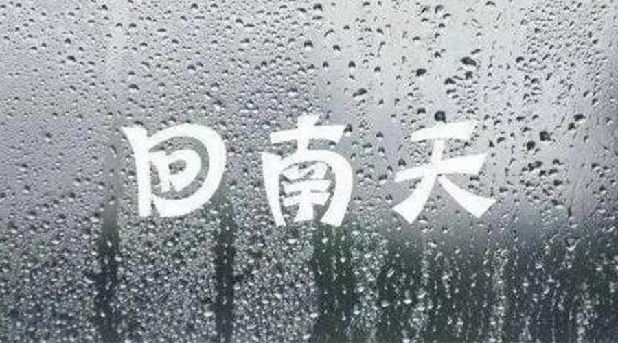 潮濕天來(lái)襲！家用衣物烘干機(jī)一招清除衣物上霉臭味