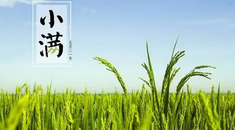 小滿(mǎn)時(shí)節(jié)！金環(huán)電器提醒大家要注意的事項(xiàng)