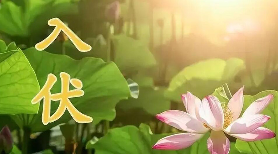 入伏天來(lái)襲！金環(huán)電器提醒大家要注意的事項(xiàng)