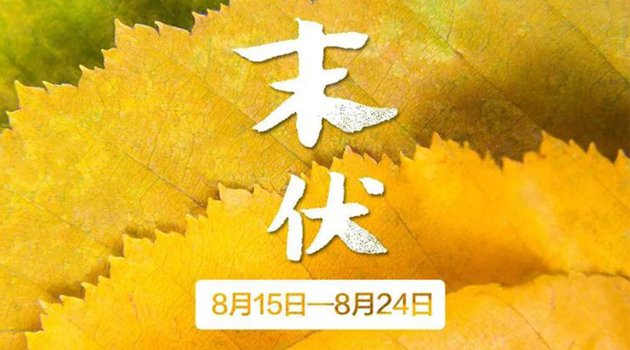 末伏時(shí)節(jié)！金環(huán)電器提醒你謹(jǐn)記這些注意事項(xiàng)