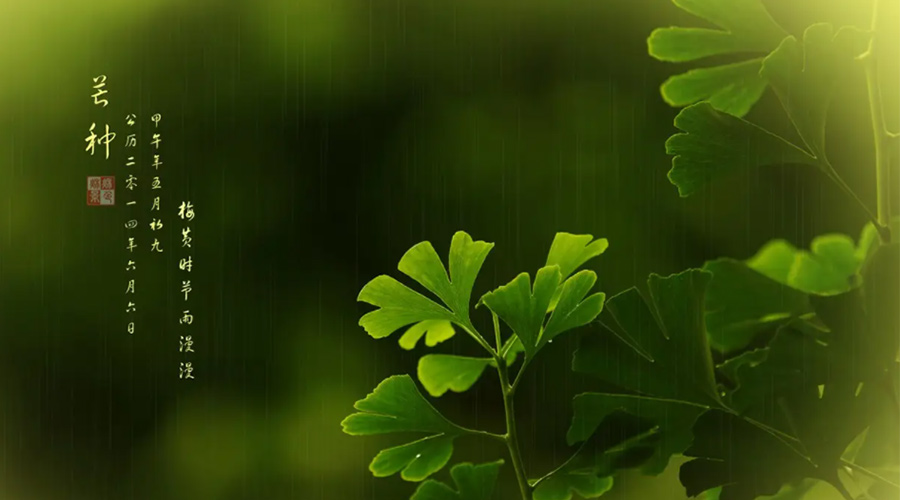 芒種時(shí)節(jié)！金環(huán)電器提醒大家的注意事項(xiàng)