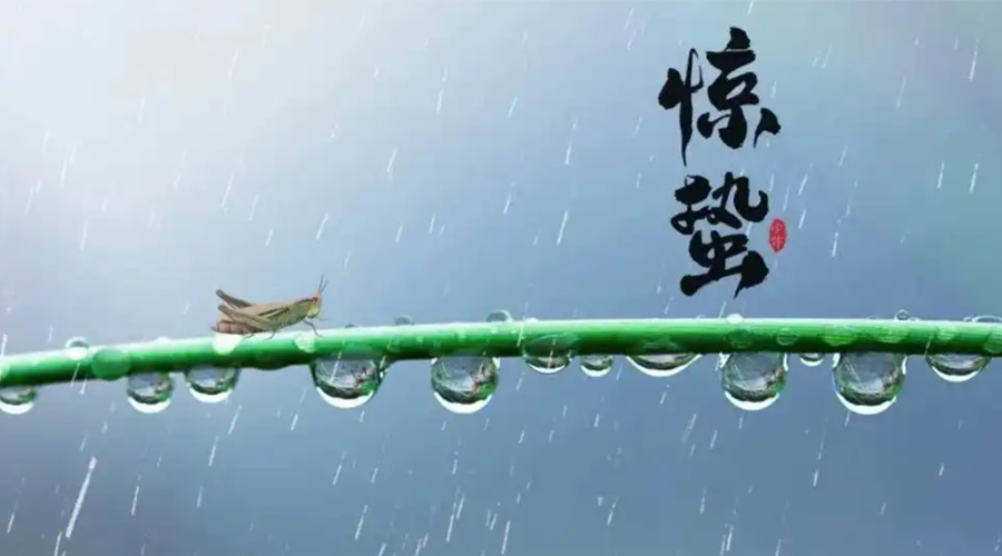 驚蟄時節(jié)！金環(huán)電器提醒大家干衣要注意這些