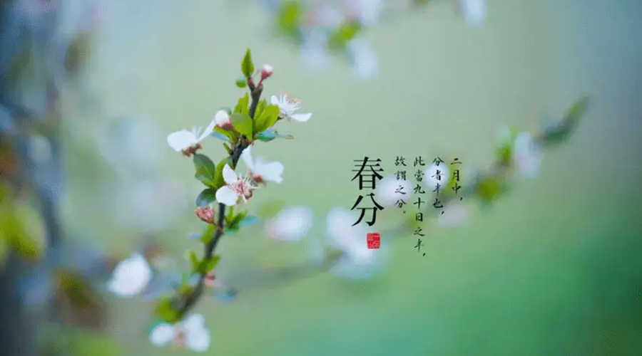 春分雨水多易生菌！金環(huán)電器提醒你衣物要注意處理