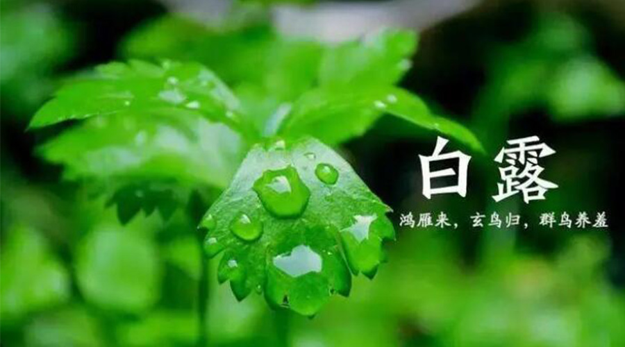 白露時(shí)節(jié)！金環(huán)電器提醒大家要注意的事項(xiàng)