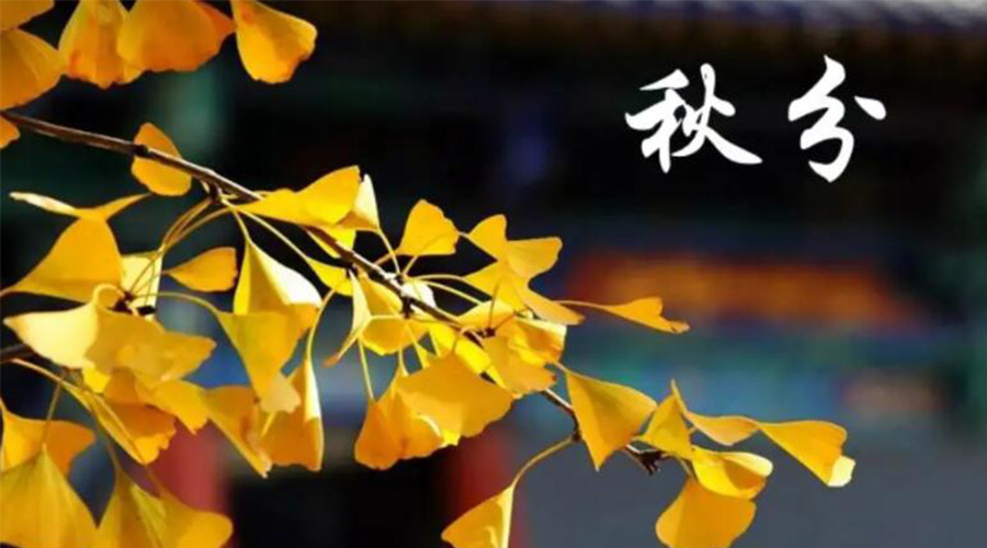 秋分時節(jié)！金環(huán)電器提醒大家要注意的事項(xiàng)